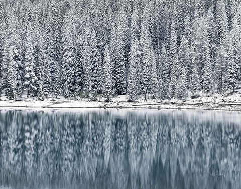 Framed Winter Reflections Print