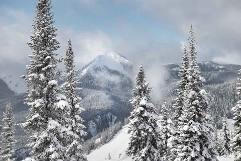 Framed North Cascades in Winter I Print