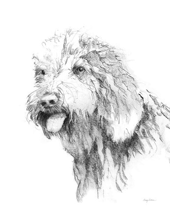 Framed Goldendoodle Sketch Print