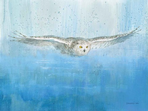 Framed Soaring Print