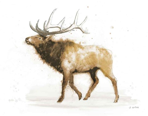 Framed Elk v.2 Full Print