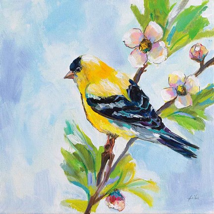 Framed Golden Finch Print