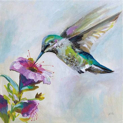Framed Hummingbird II Print
