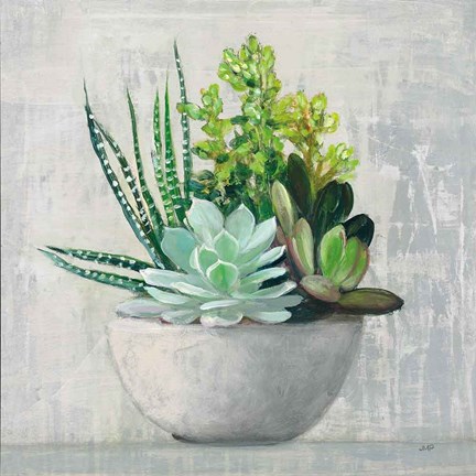 Framed Succulent Still Life II Print