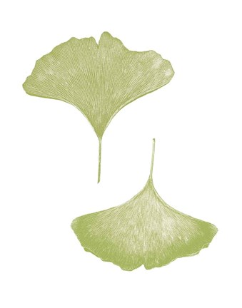 Framed Renew on White Print