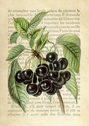 Framed Cherries, After J. Wright Print