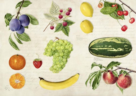 Framed Fruits du Monde Print