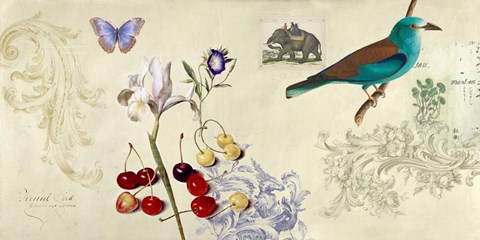 Framed Cabinet of Curiosities I Print