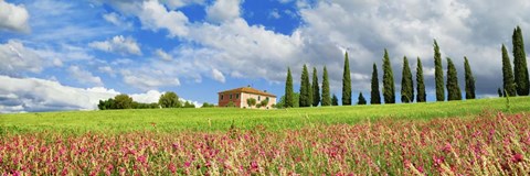 Framed Landscape with cypress alley and sainfoins, San Quirico d&#39;Orcia, Tuscany Print