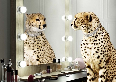 Framed Wild Beauty Print