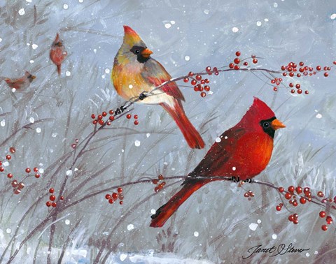 Framed Winter Cardinals Print