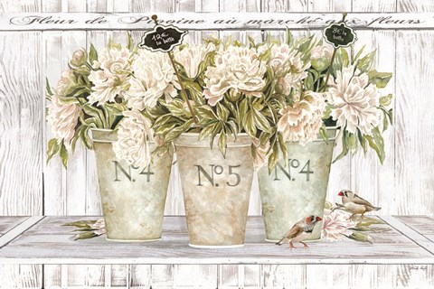 Framed French Peonies Still Life II Print