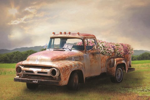 Framed Truckload of Beauty Print