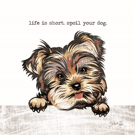 Framed Spoil Your Dog Print