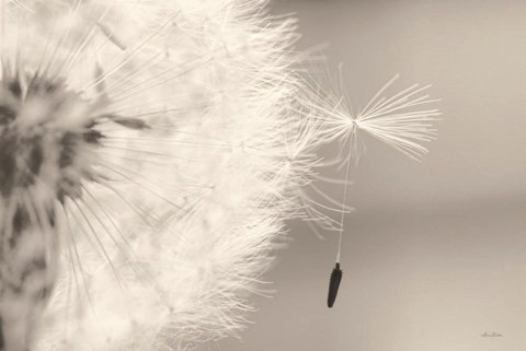 Framed It Only Takes One Print