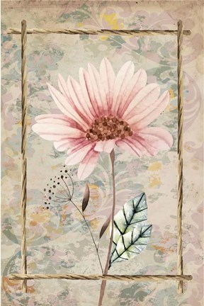 Framed Wildflowers III Print