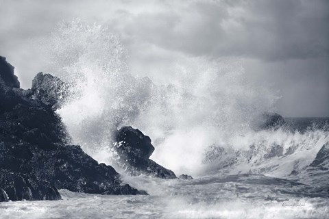 Framed Indigo Crashing Wave Print