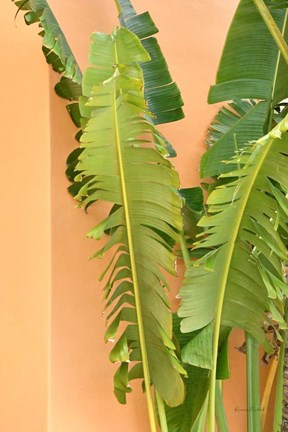 Framed Tropical Dream III Print