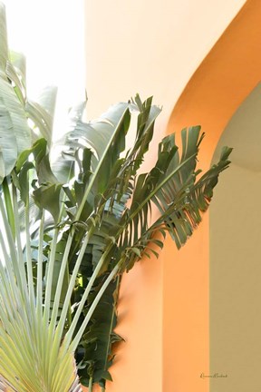 Framed Tropical Dream V Print