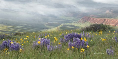 Framed Misty Valley II Print