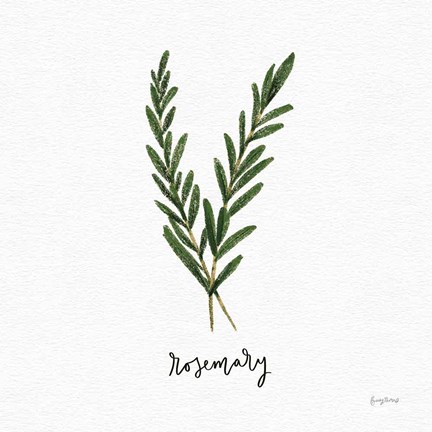 Framed Herbs III White Print