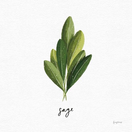 Framed Herbs II White Print