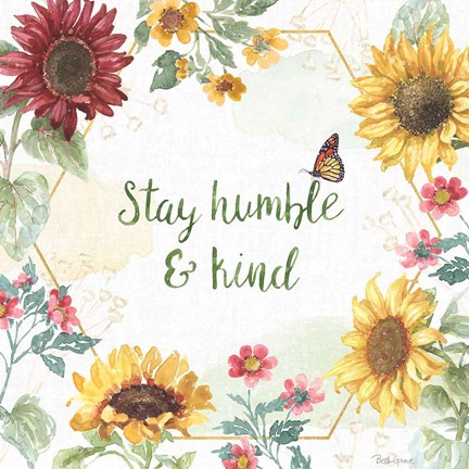 Framed Sunflower Splendor III Print