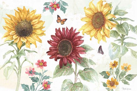 Framed Sunflower Splendor IV Print