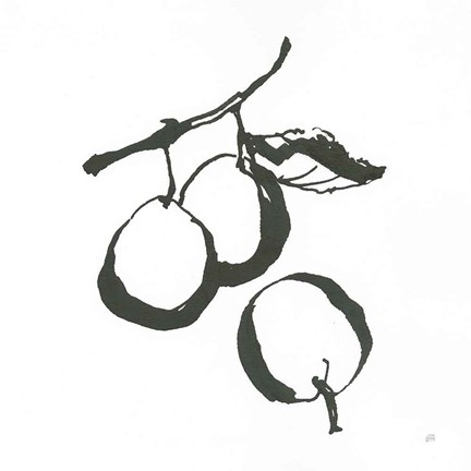Framed Plums II BW Print