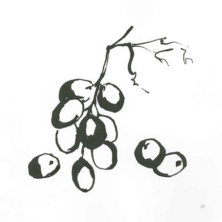 Framed Grapes I BW Print