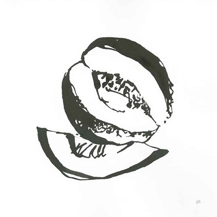 Framed Cantaloupe I BW Print