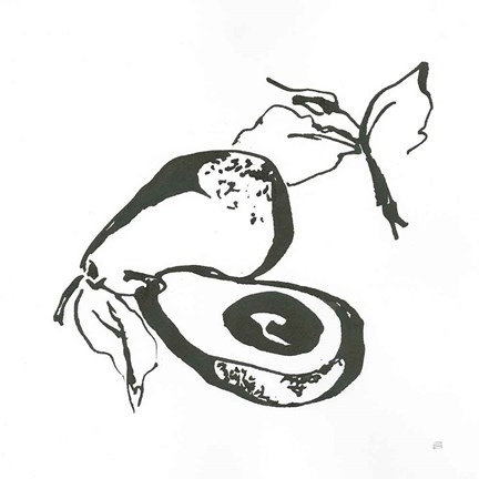 Framed Avacado I BW Print