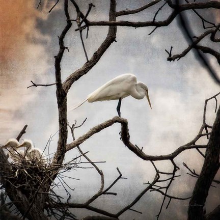 Framed Respite Print