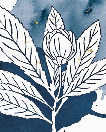 Framed Indigo Blooms IV Print