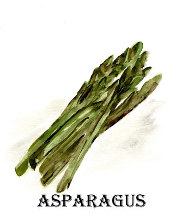 Framed Veggie Sketch I-Asparagus Print