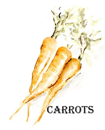 Framed Veggie Sketch V-Carrots Print