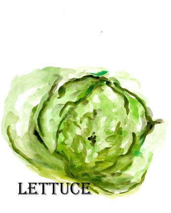 Framed Veggie Sketch IX-Lettuce Print