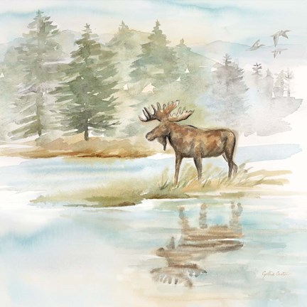 Framed Woodland Reflections II-Moose Print