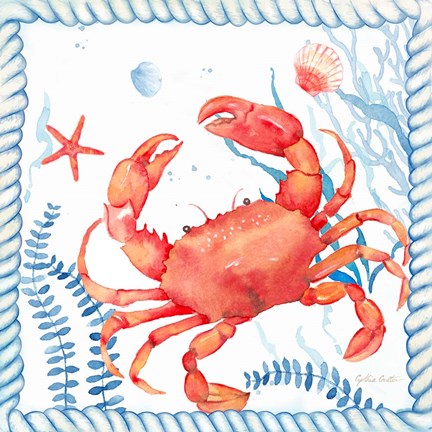 Framed Nautical Sea Life I-Crab Print