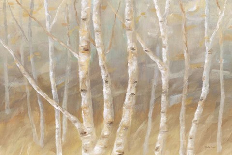 Framed Autumn Birch landscape Print