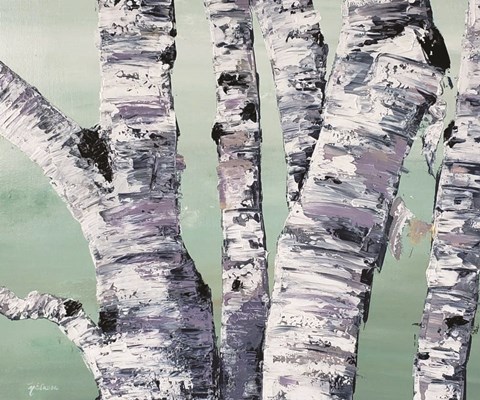 Framed Birch Tree Close Up II Print