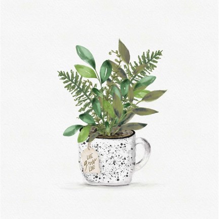 Framed Botanical Mug II Print