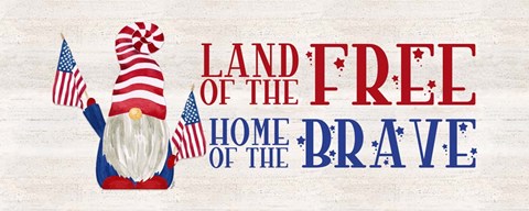Framed Patriotic Gnomes panel I-Land of the Free Print
