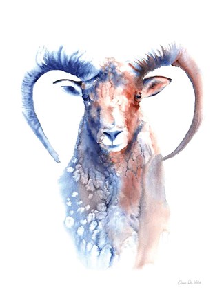 Framed Copper and Blue Ram Print