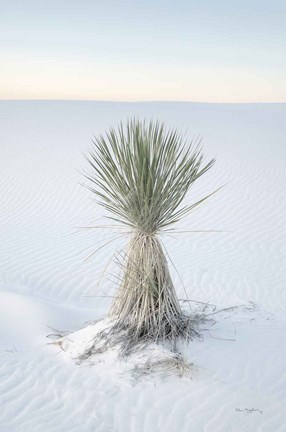 Framed Yucca in White Sands National Monument Print