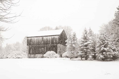 Framed First Snow BW Crop Print