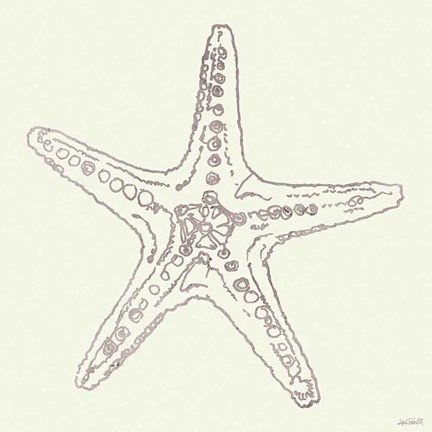 Framed Coastal Breeze Shell Sketches VI Silver Print