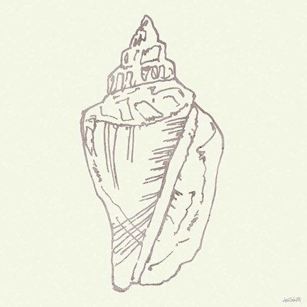 Framed Coastal Breeze Shell Sketches III Silver Print