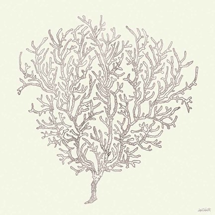 Framed Coastal Breeze Shell Sketches I Silver Print