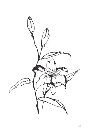 Framed Line Tiger Lily Print